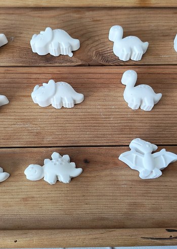 Beyaz Dinozor Boyama Seti - Görsel 14