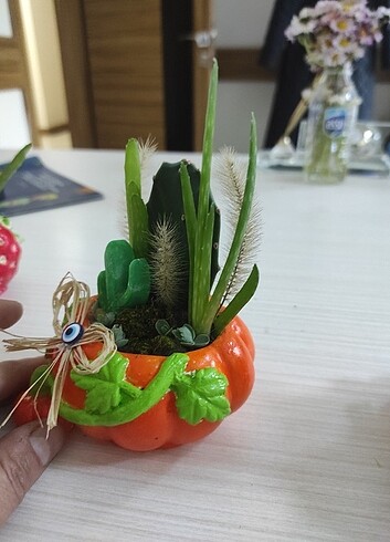  Beden Renk Anneler günü sukulent saksı