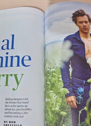  harry styles 
