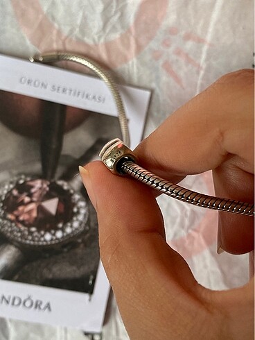  Beden gri Renk Pandora sister Charm