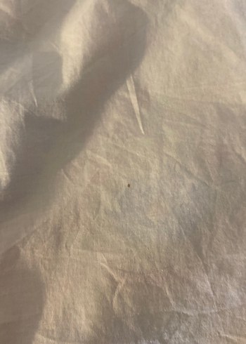 Düğmeli Beyaz Poplin Kadın Gömlek - Görsel 4