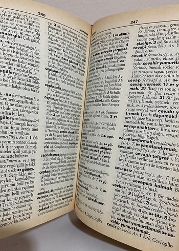 Resimli Türkçe Sözlük ali püsküllüoğlu - Görsel 7