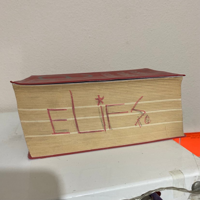 Resimli Türkçe Sözlük ali püsküllüoğlu - Görsel 3