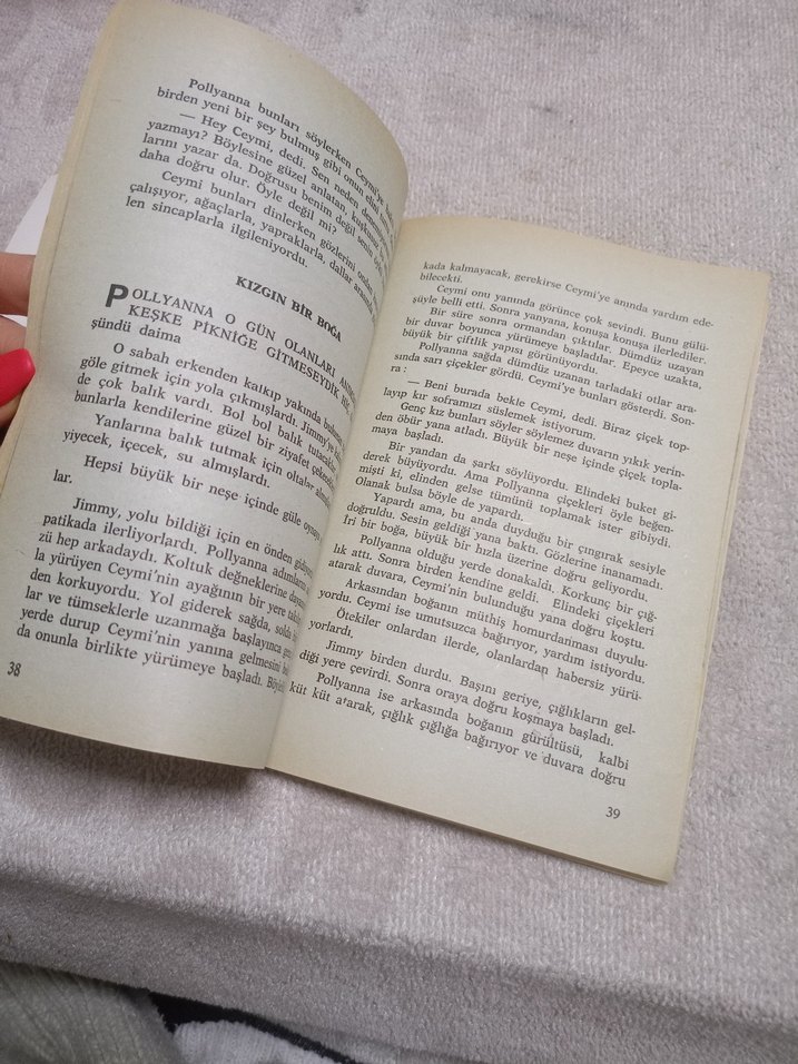 Pollyanna'nın Dönüşü Hikaye Kitabı - Görsel 3