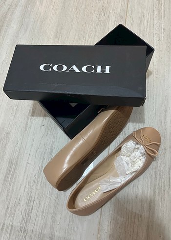 Coach 42