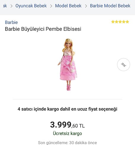  Beden Renk Barbie bebek