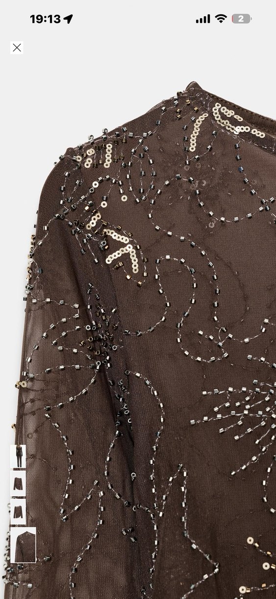 Zara Uzun Kollu Kahverengi Nakışlı Dantel Bluz - Görsel 2