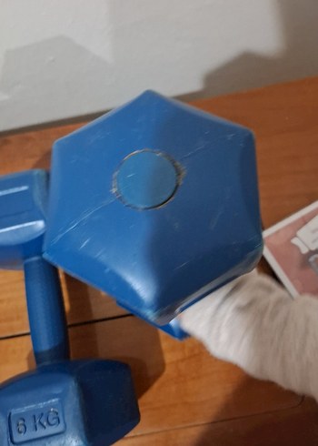 6 KG Mavi Egzersiz Mat Ağırlığı - Görsel 5