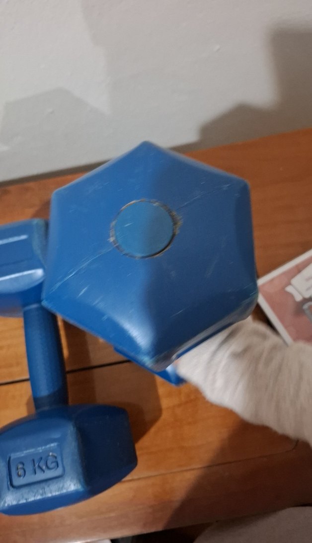 6 KG Mavi Egzersiz Mat Ağırlığı - Görsel 5