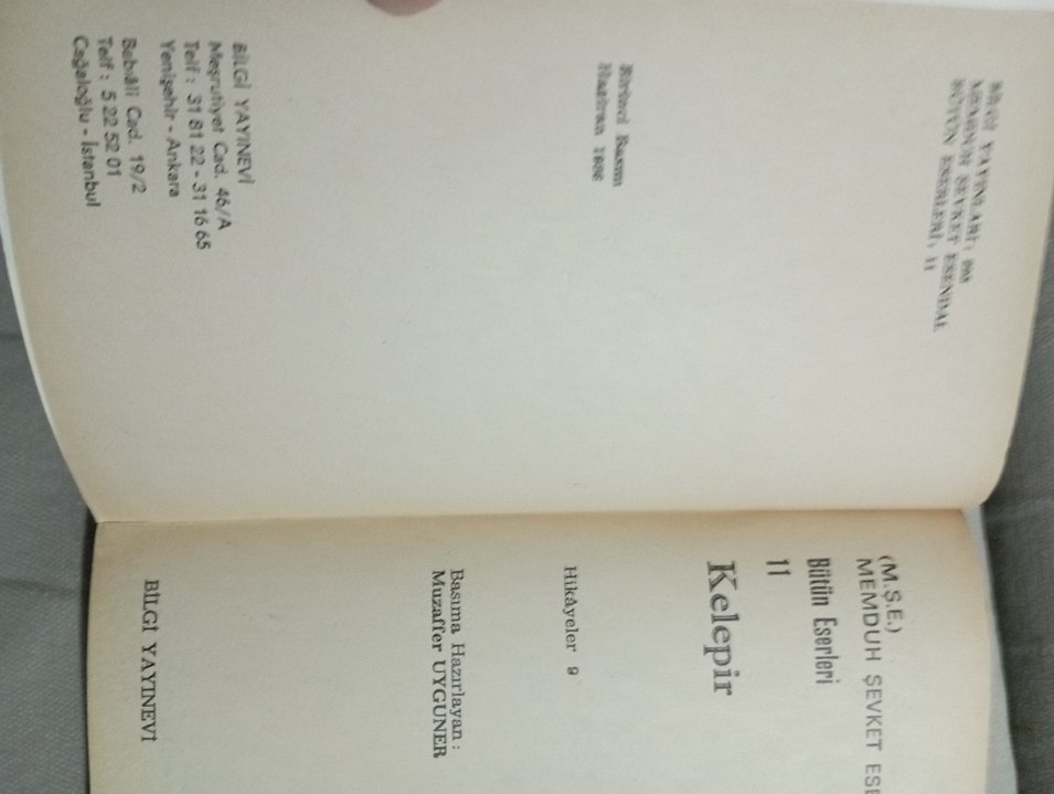 Memduh Şevket Esendal - Kelepir - Görsel 3