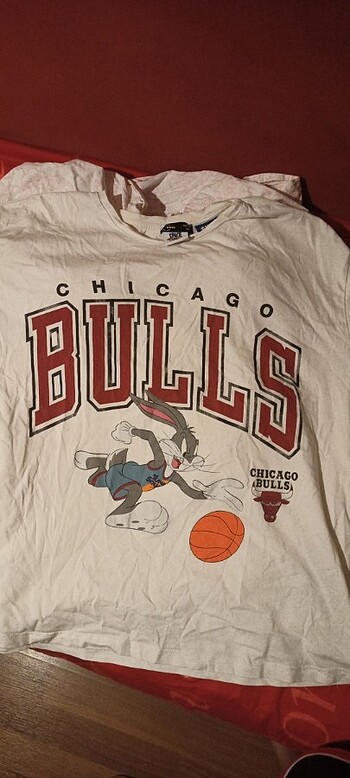 Bulls Unisex Tshirt (nba)