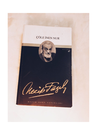 Recip fazıl kitap