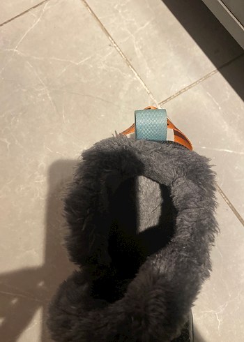 Gri Kürklü Erkek Bot - Görsel 5