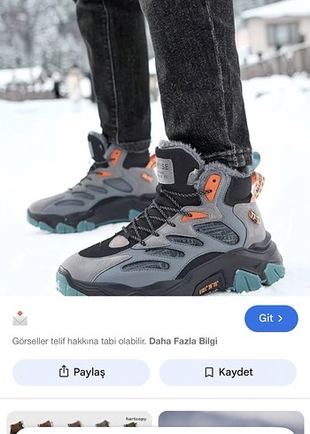 Gri Kürklü Erkek Bot - Görsel 6