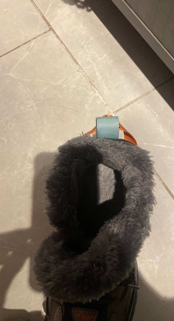 Gri Kürklü Erkek Bot - Görsel 5