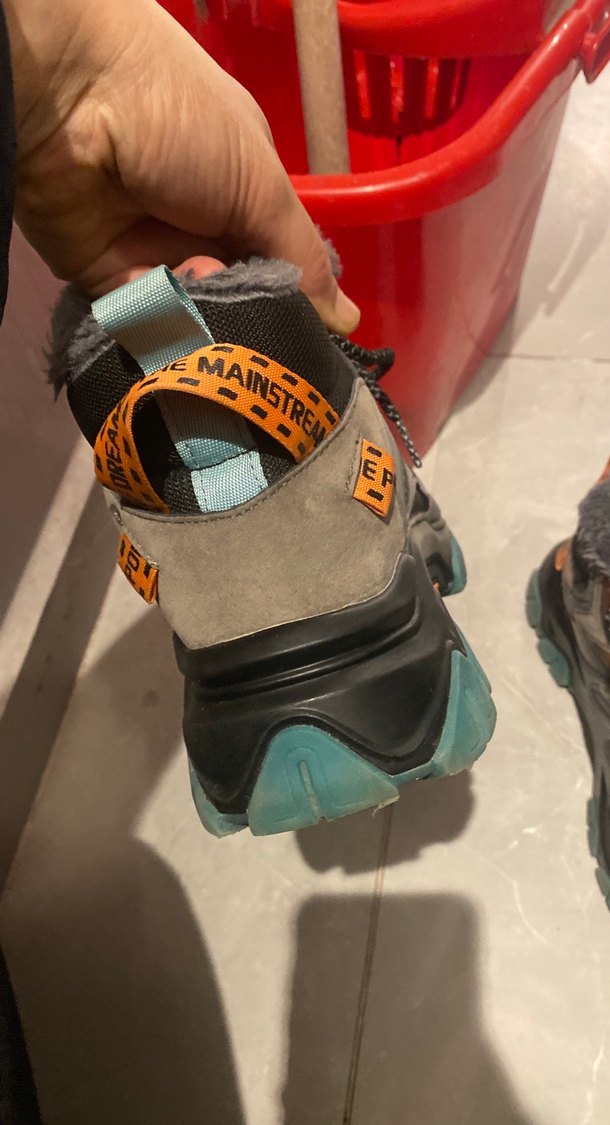 Gri Kürklü Erkek Bot - Görsel 3