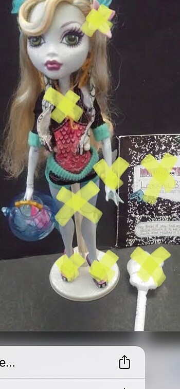 Lagoona Basic