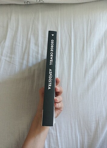 Beden George Orwell aspidistra