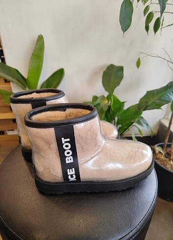 39 Beden UGG bayan bot 