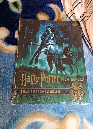 Harry Potter Film Dehlizi