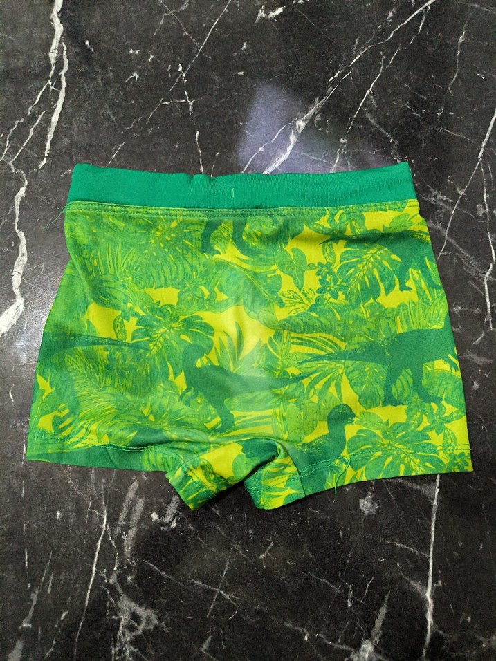 Renkli Dinozor Desenli Erkek Çocuk Mayo - Görsel 2