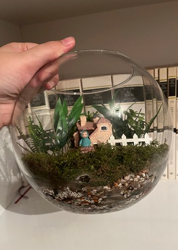 Beden yeşil Renk Yeşil Mini Bahçe Teraryum