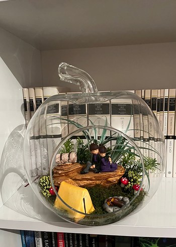 Diğer Renkli Mini Bahçe Teraryum