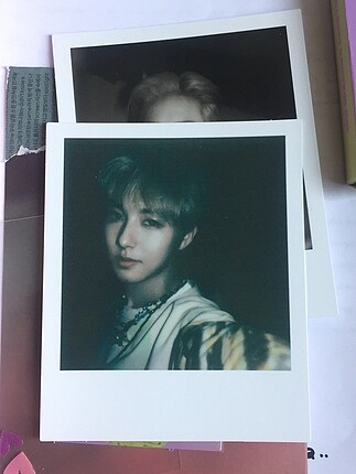renjun pola
