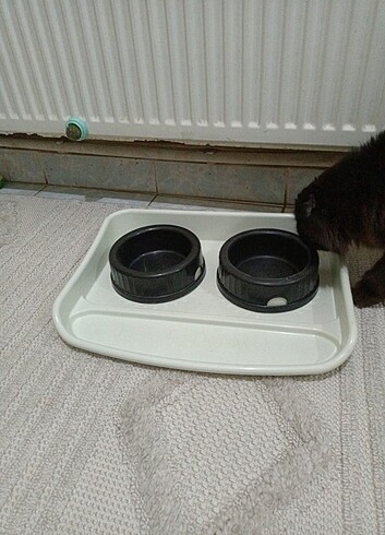 Kedi mama ve su kabı  - Görsel 8