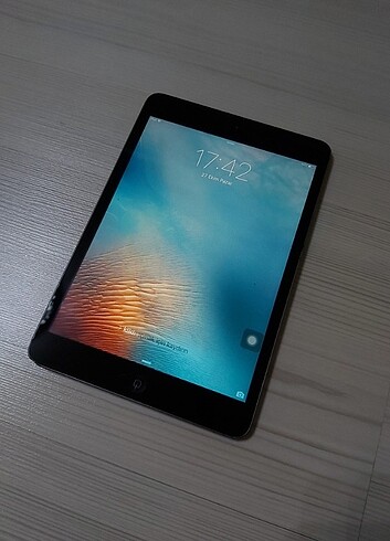 Apple iPad Mini