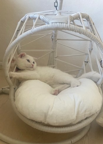 Beyaz Asılabilir Kedi Yuvası - Görsel 2