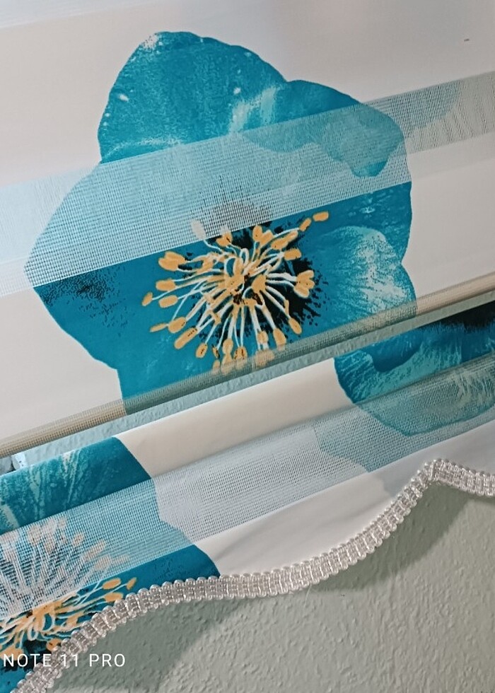 Zebra Stor  - Görsel 5