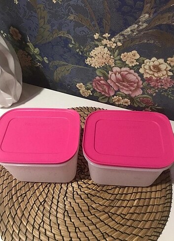  Beden pembe Renk Alaska Saklama Kabı
