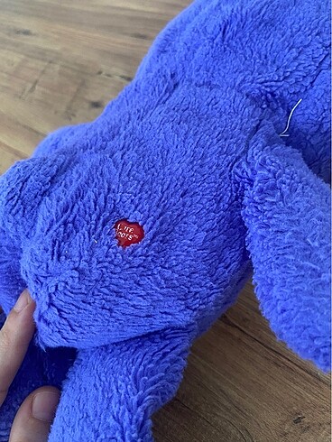Diğer CARE BEARS AYICIK