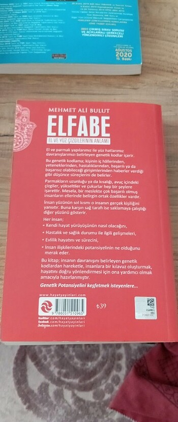  Elfabe