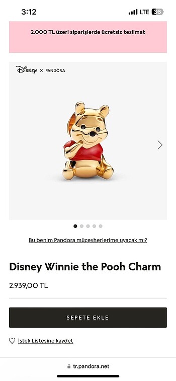 Pandora charm