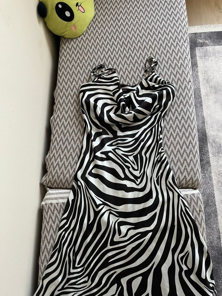 Zebra Desenli Uzun Kadın Kalem Elbise - Görsel 2