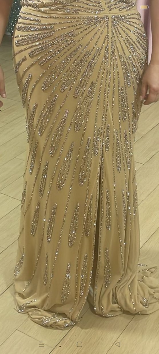 Bej V Yaka Payetli Uzun Abiye Elbise - Görsel 2