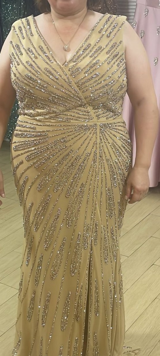 Bej V Yaka Payetli Uzun Abiye Elbise - Görsel 3