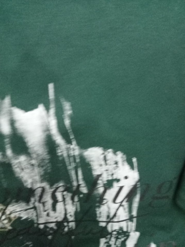 Yeşil Baskılı  Uzun Kollu Tişört - Görsel 5