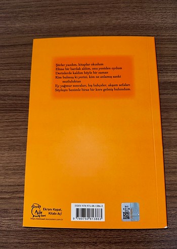 Edip Cansever - Gelmiş Bulundum Seçme Şiirler - Görsel 3