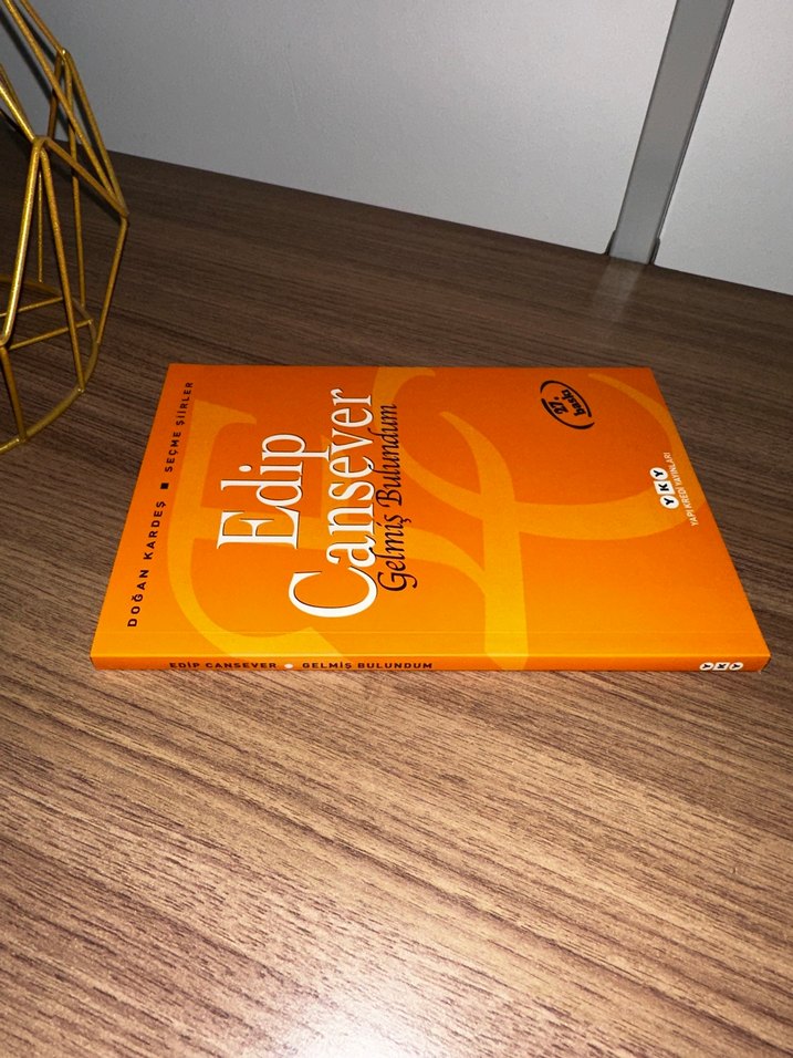 Edip Cansever - Gelmiş Bulundum Seçme Şiirler - Görsel 2