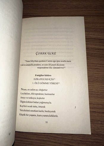 T.S. Eliot - Çorak Ülke - Görsel 6