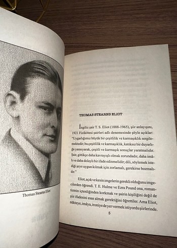 T.S. Eliot - Çorak Ülke - Görsel 5