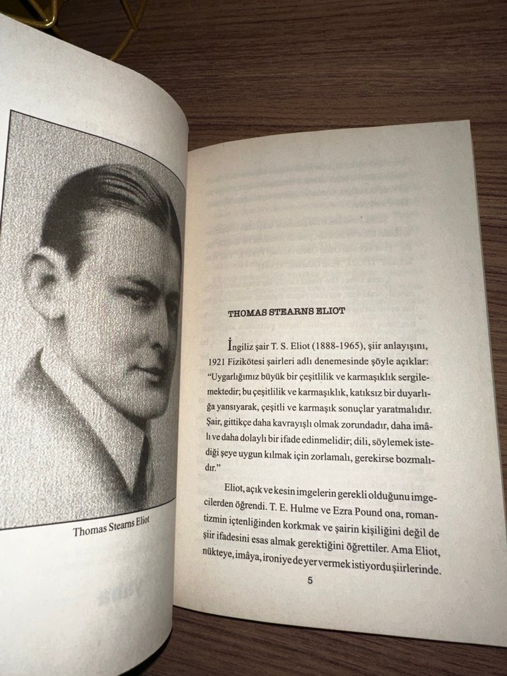 T.S. Eliot - Çorak Ülke - Görsel 5