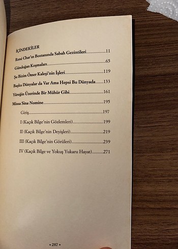 Özdemir İnce / Uzaktan Daha Uzak - Görsel 8