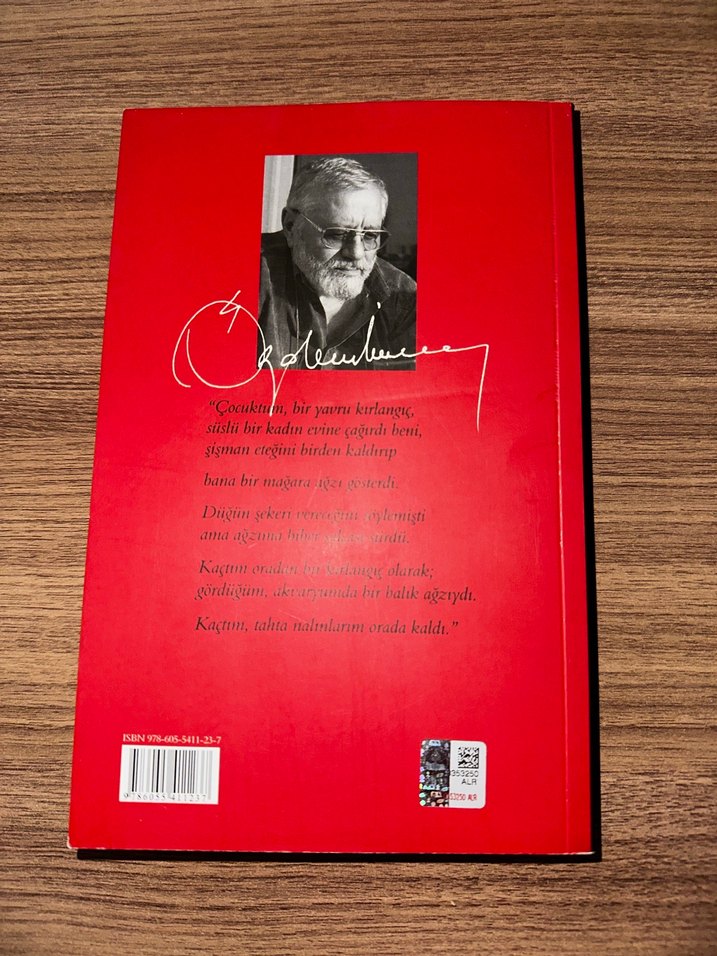 Özdemir İnce / Uzaktan Daha Uzak - Görsel 2