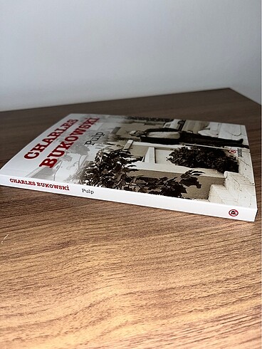  Beden Renk Charles Bukowski / Pulp