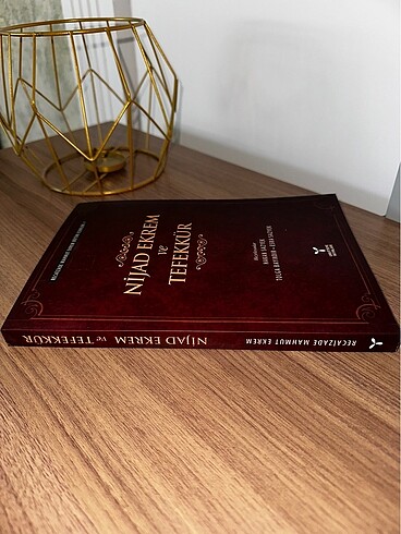 Recaizade Mahmut Ekrem / Nijad Ekrem ve Tefekkür - Görsel 3