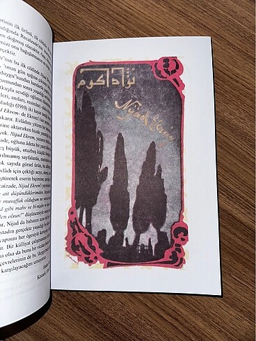 Recaizade Mahmut Ekrem / Nijad Ekrem ve Tefekkür - Görsel 4